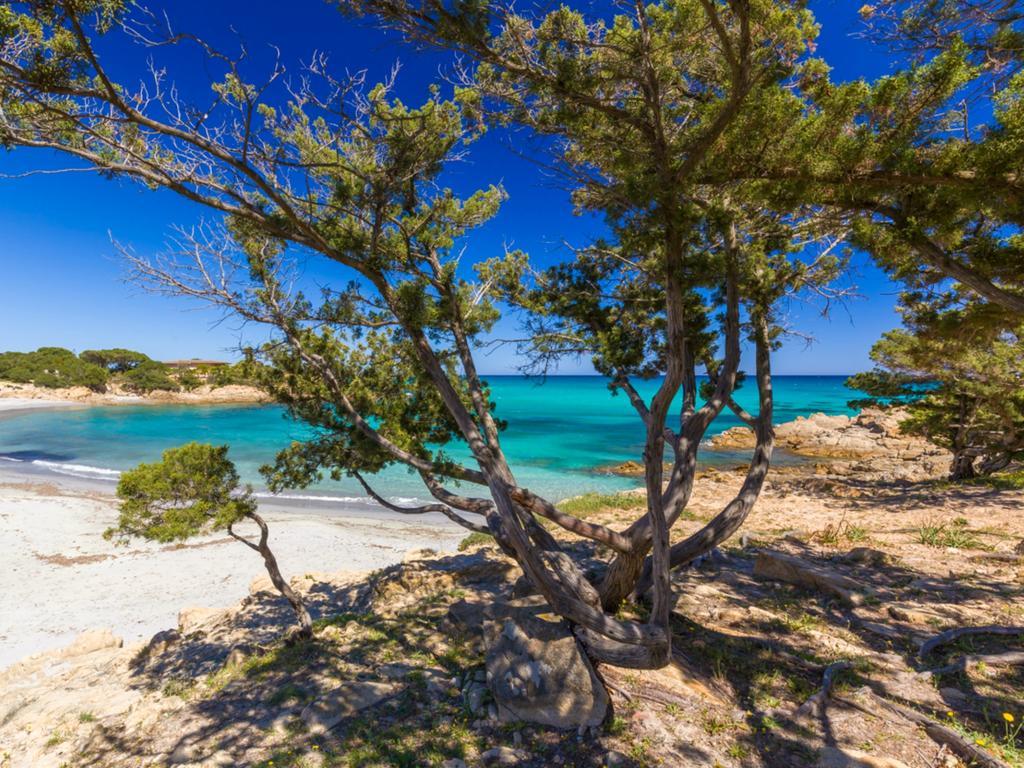 Orosei Home Holidays - Sa Vadde Cala Liberotto Eksteriør billede